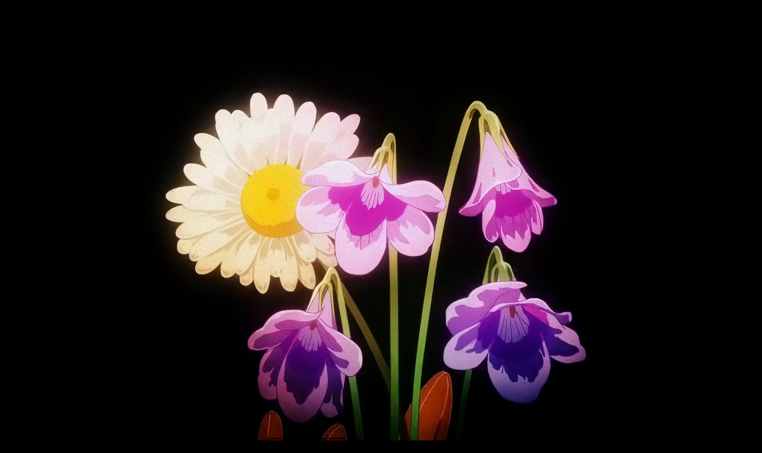 one night only-魔法部BBS